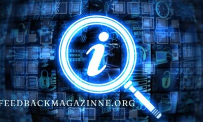 Feedbackmagazinne.org: A Hub for Dynamic Content and Insights